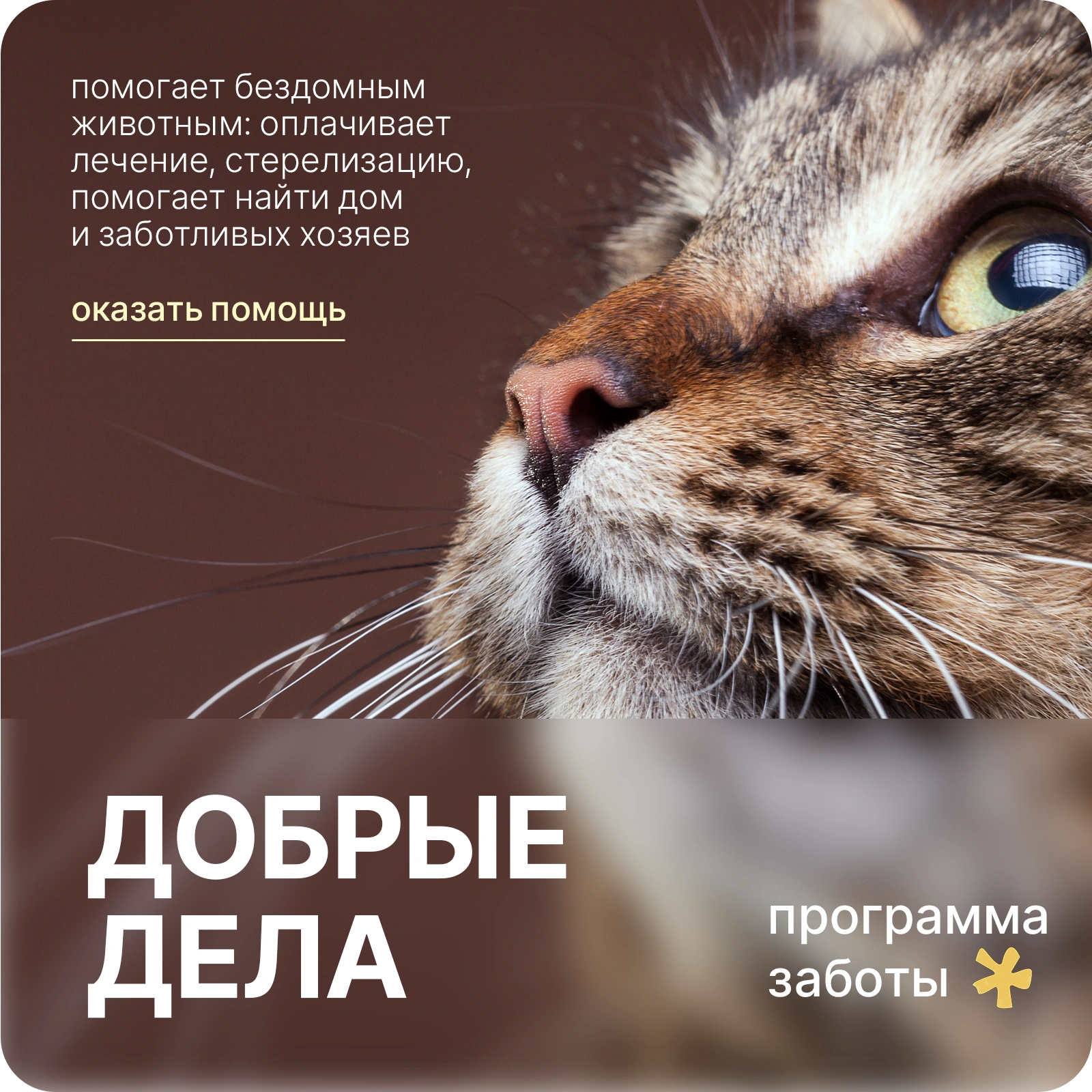 Вместе мы сильнее — благотворительная акция Cosmolex