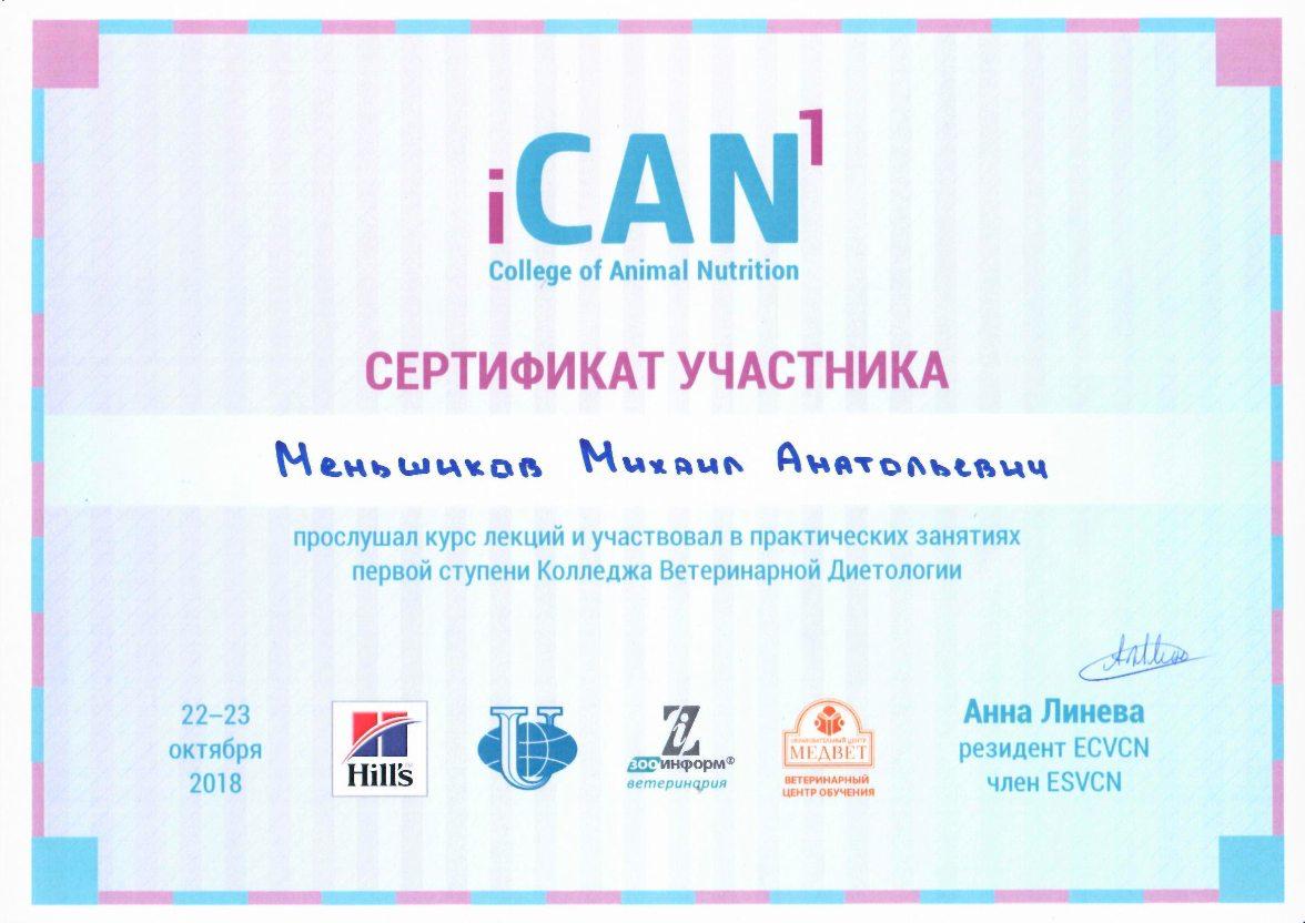 мишасерт1.jpg