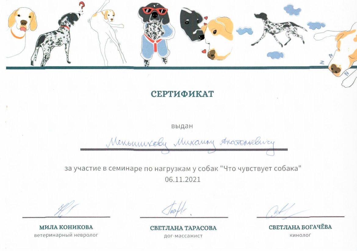 Мишасерт2 Мишасерт2.jpg