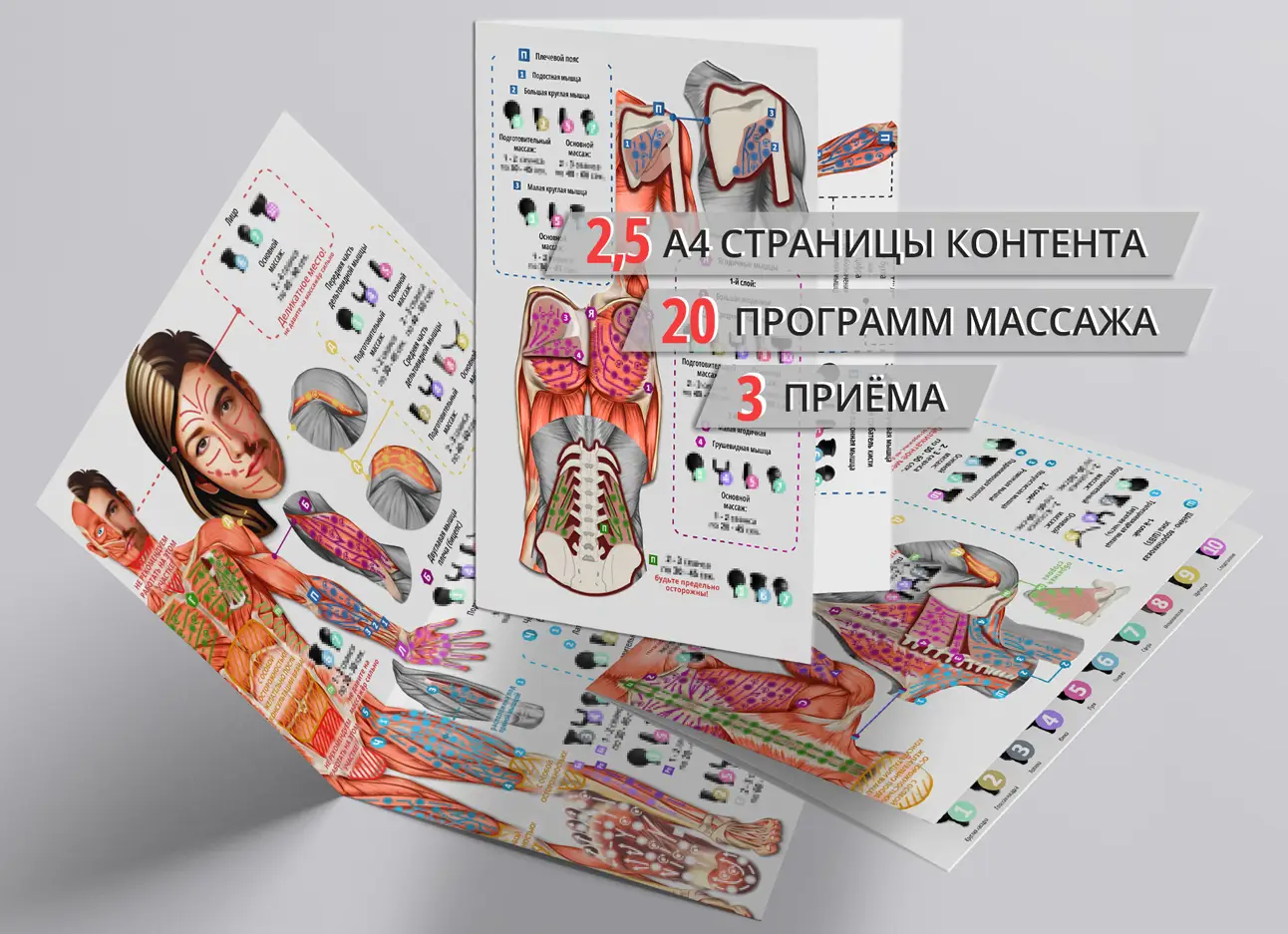 карта массажа для перкуссионного массажёра в комплекте