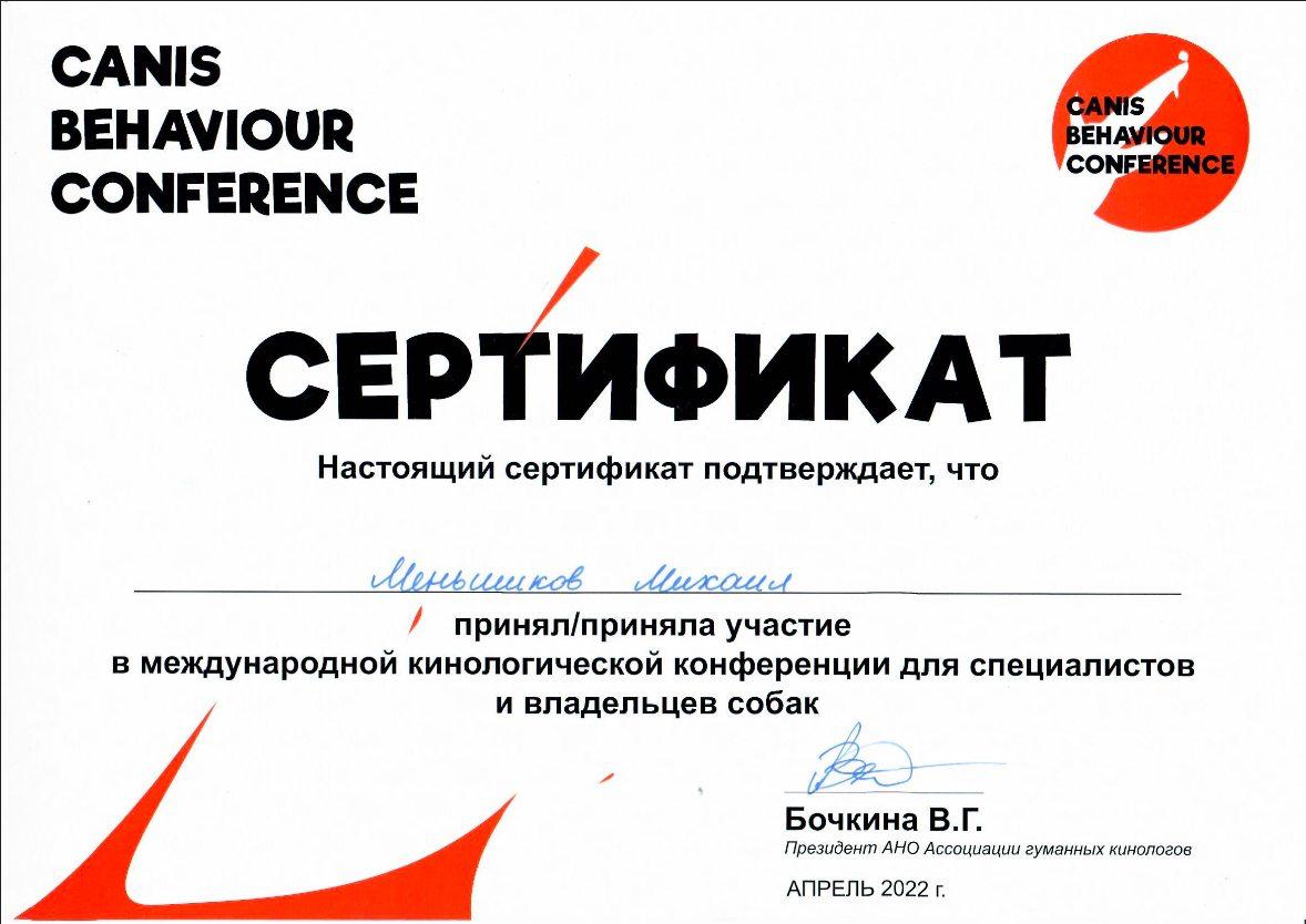 МишаСерт3.jpg