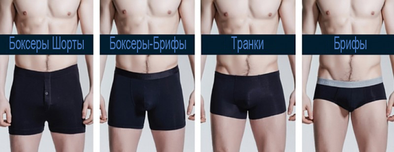 типы мужских трусов боксеры брифы транки хипсы