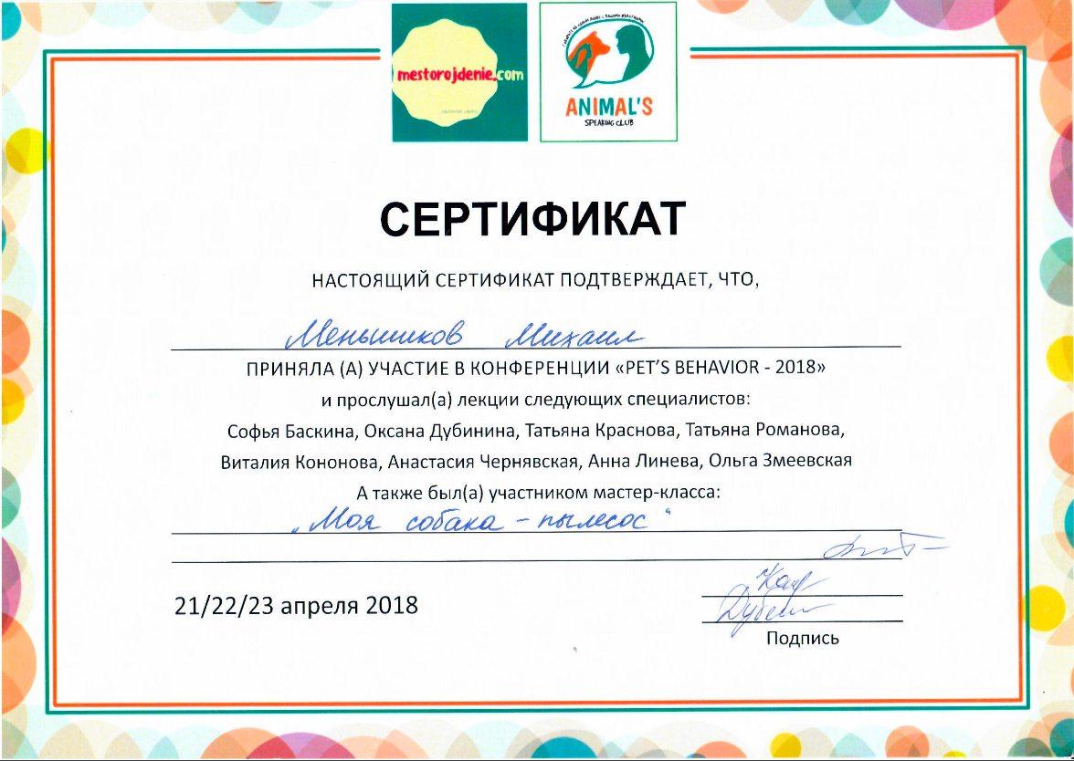 МишаСерт6.jpg