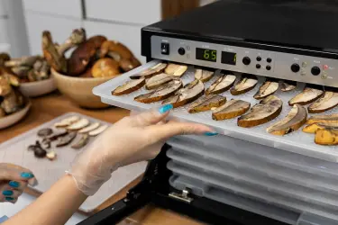 Приготовление грибного порошка отеки +от соли