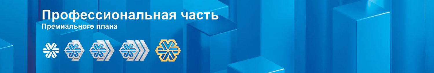 Профессиональная часть Премиального плана Профессиональная часть Премиального плана.jpg
