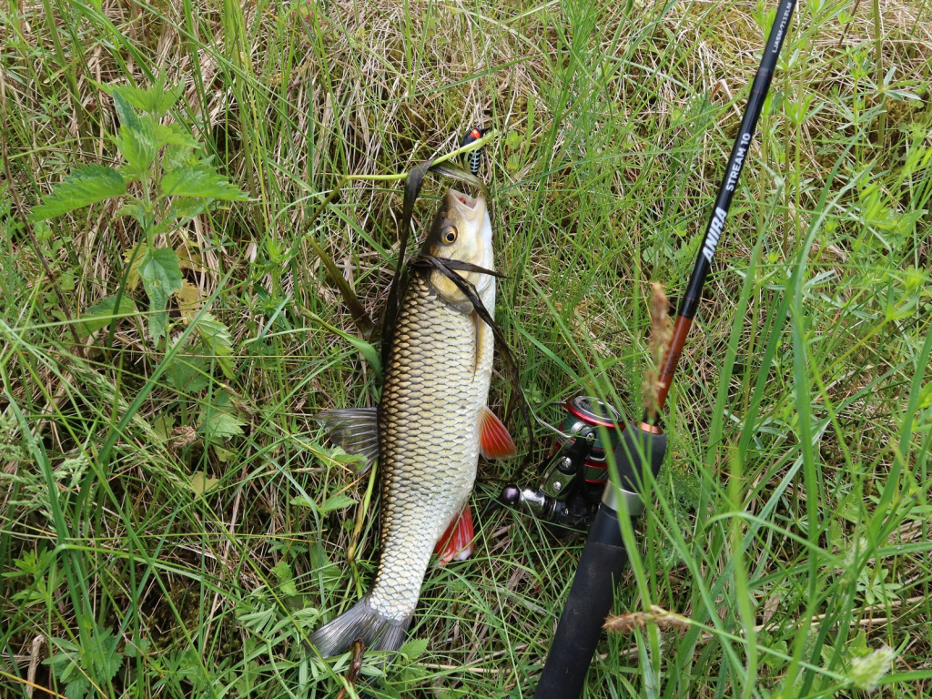 10.JPG