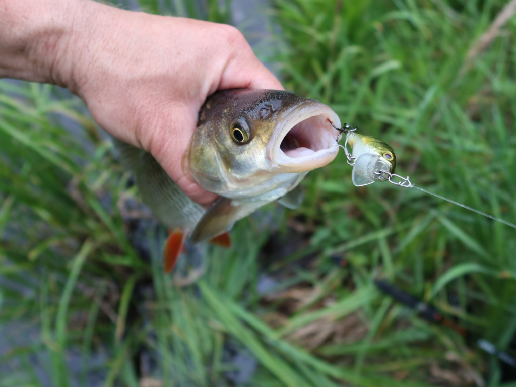 11.JPG