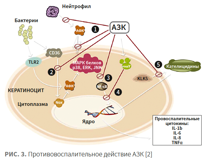 Тамразова КМ 3-2025_Рис 3 Тамразова КМ 3-2025_Рис 3.png