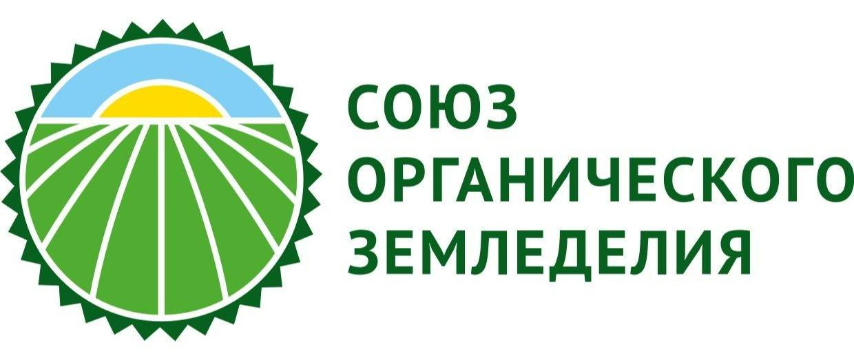 Мой магазин
