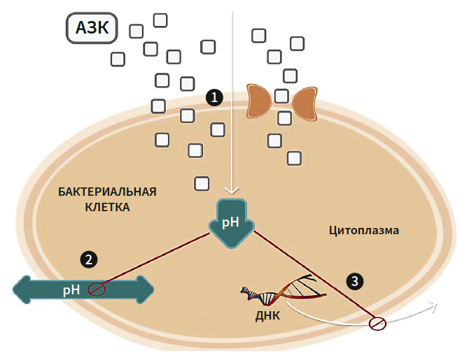 Тамразова КМ 3-2025_Рис 4 Тамразова КМ 3-2025_Рис 4.png