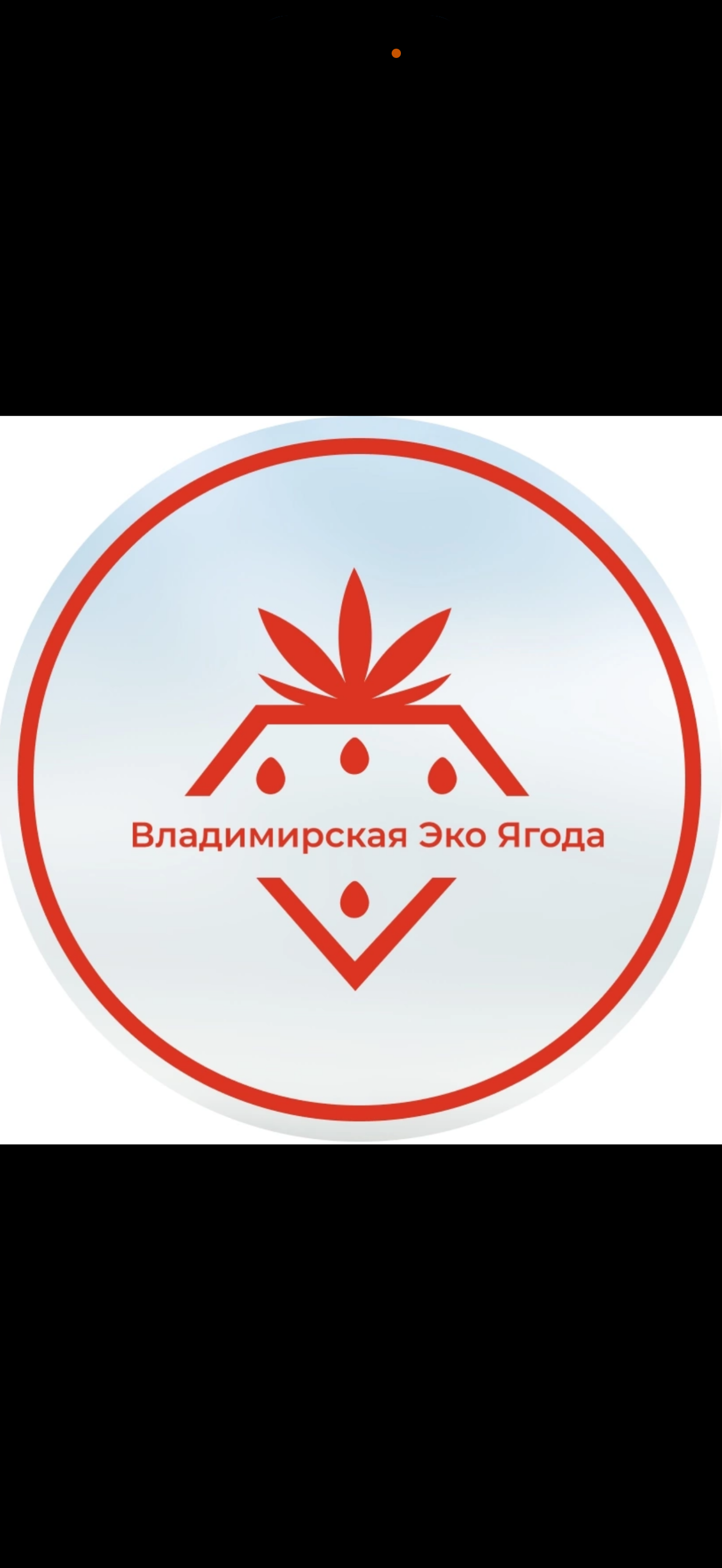 Питомник  Владимирская Эко  Ягода