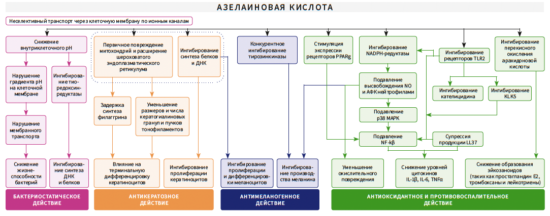 Тамразова КМ 3-2025_Рис 6 Тамразова КМ 3-2025_Рис 6.png