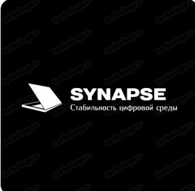 SYNAPSE