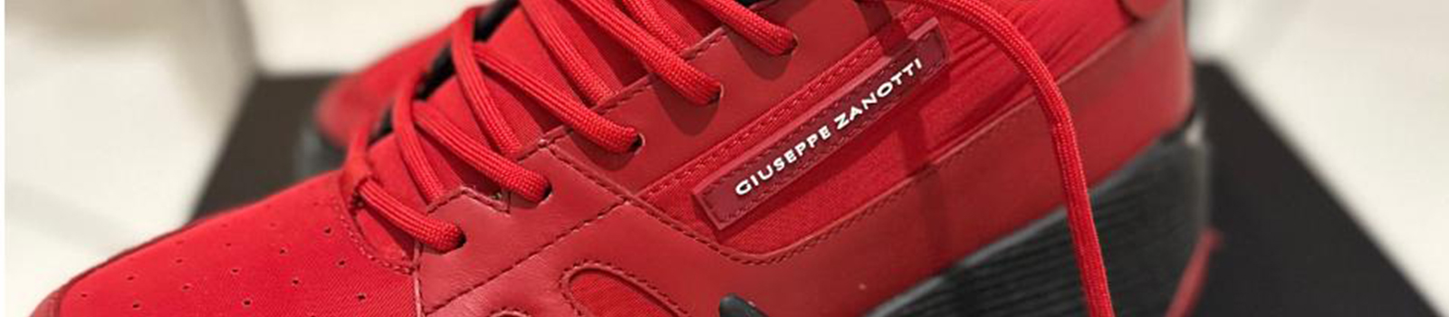 Giuseppe Zanotti