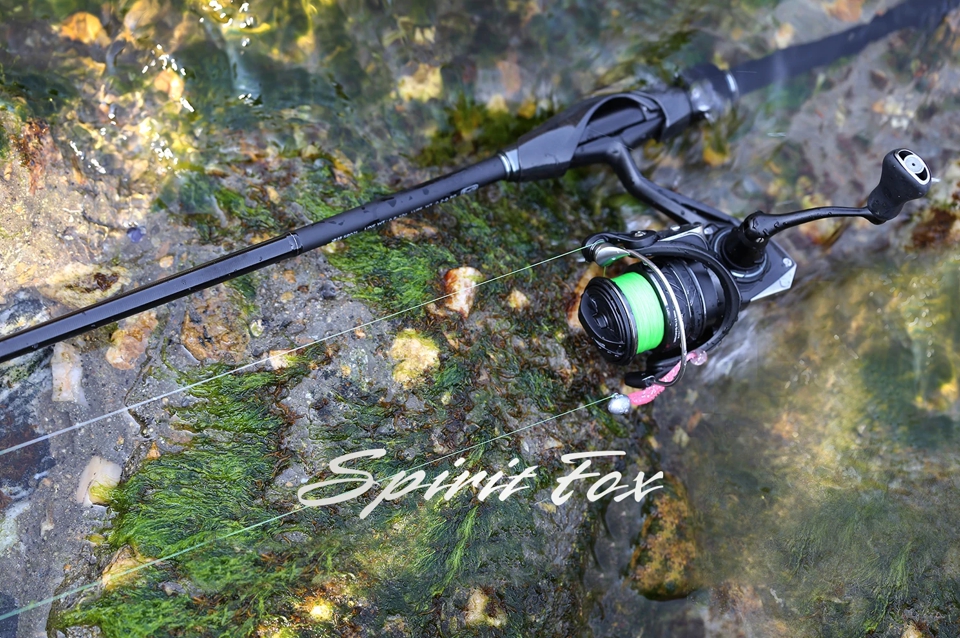 SpiritFox-7.jpg