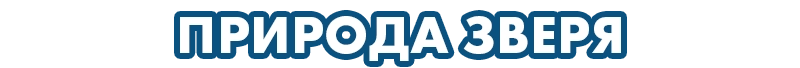Доп 2
