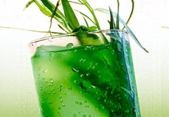 tarhun-monin.jpg