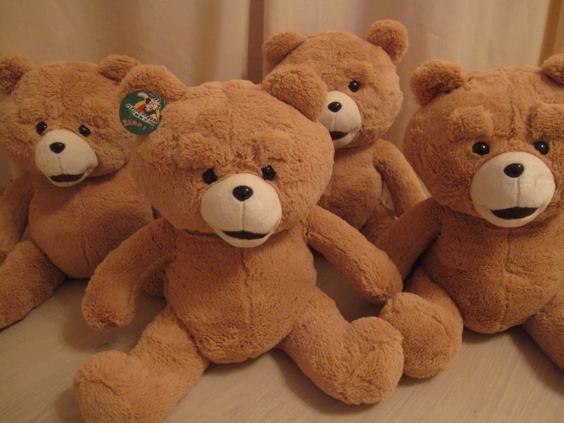 мишки.jpg
