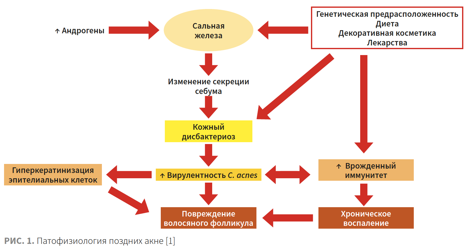 Турубара (Виши) КМ 2-2023_РИС 1.png