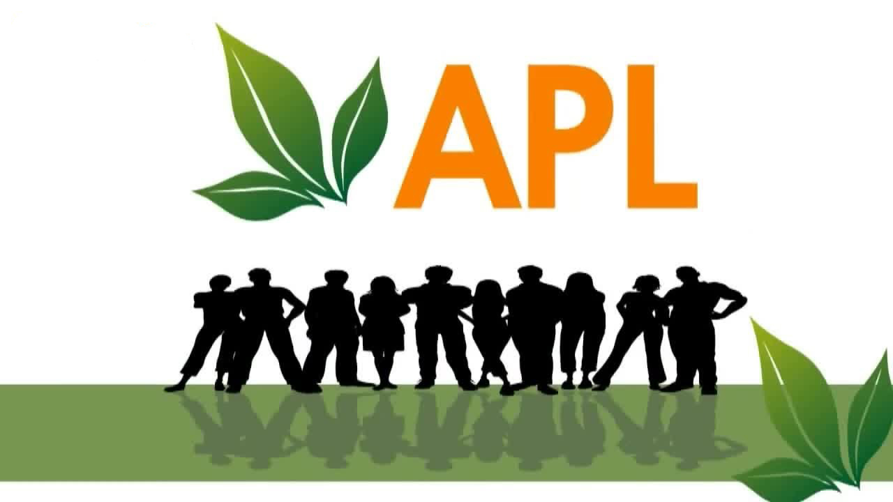 компания_APL.jpg
