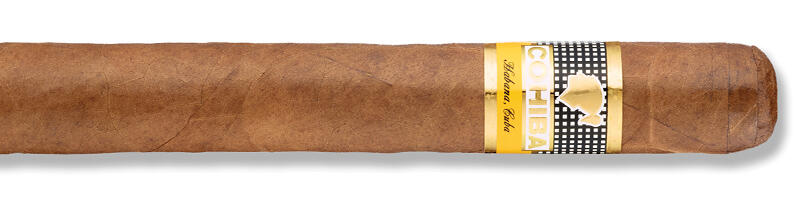 Cohiba Siglo VI