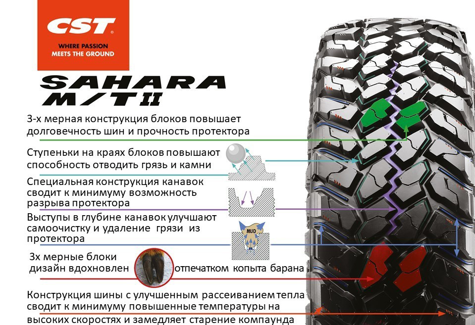 Без имени-1ссс.jpg