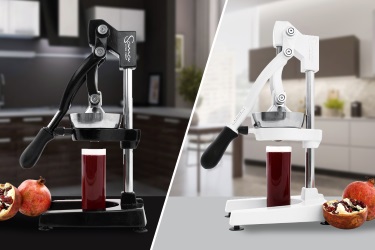 Уникальный дизайн Sana Citrus Press