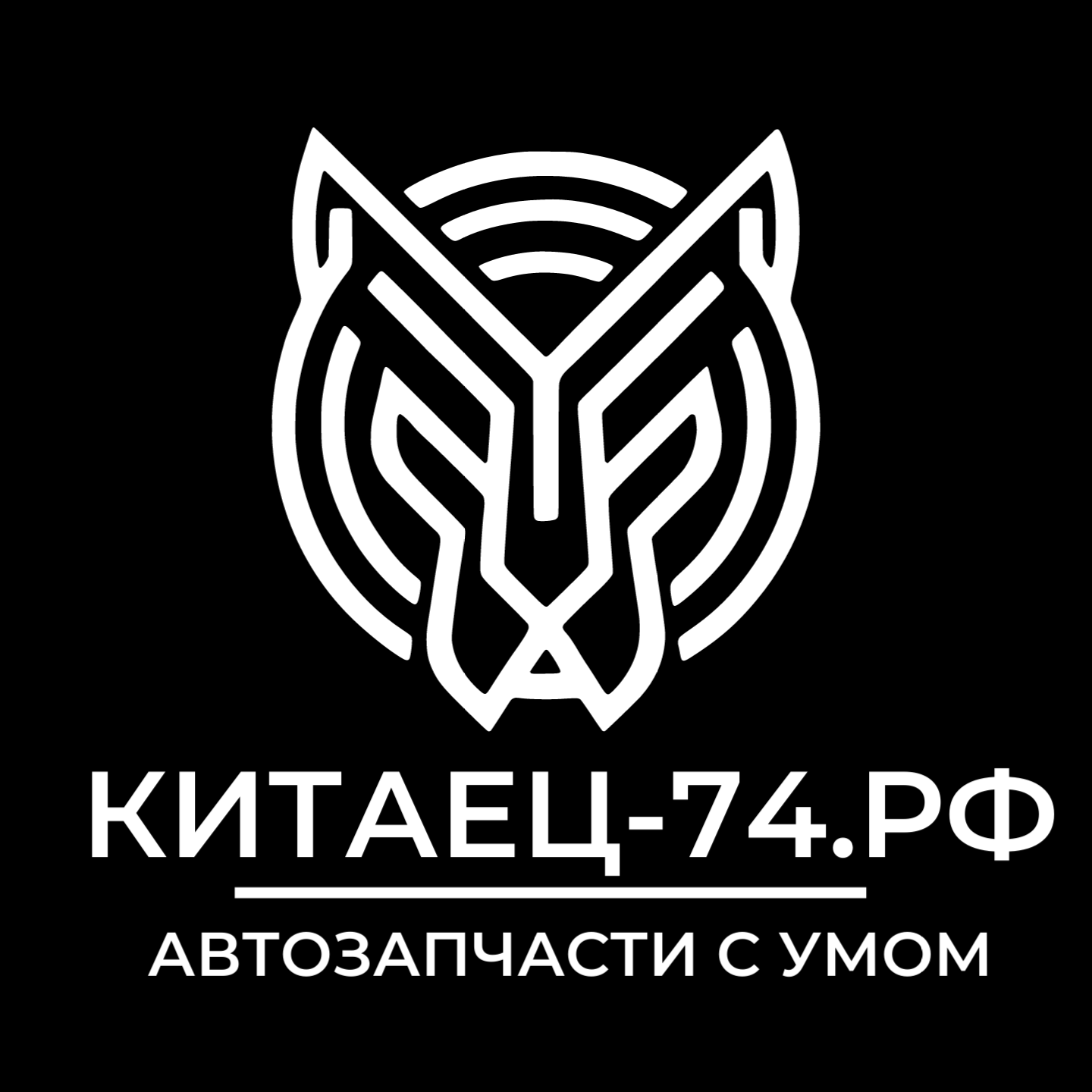КИТАЕЦ-74.РФ НА СОЦИАЛИСТИЧЕСКОЙ 34  интернет магазин запчастей для китайских автомобилей Chery, Exeed, Omoda, Jaecoo, Jetour, Kaiyi, Exlantixс, Geely,  Livan, Zeekr, Lynk & Co, Volvo, Lotus, Smart, Polestar, Great Wall Motor (GWM),  Haval, Tank, Ora, Wey,  Dongfeng ,Paladin, Oding, FAW ,Hongqi, Bestune, Jetta,  Changan, Avatr, Deepal, Lifan, JAC, Москвич, Jetour, Kaiyi, Wey, Oraпо низким ценам с доставкой в городе Челябинск.
