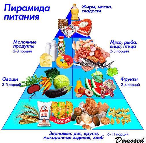 Здоровое питание как ключ к долголетию