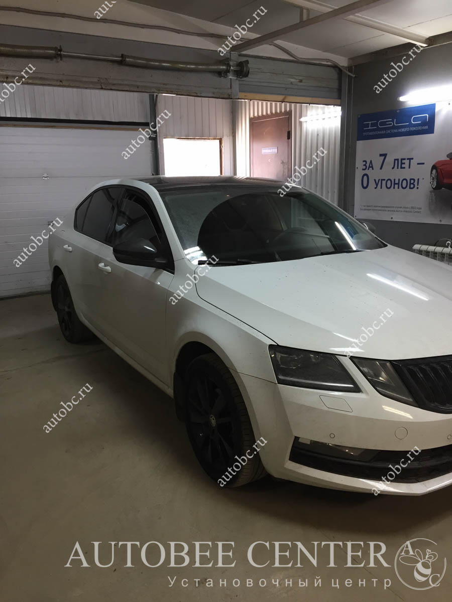 Skoda Octavia A7 (шумоизоляция дверей)