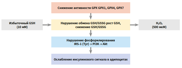 Микова (Глатион) КМ 3-2026_Рис 4.png