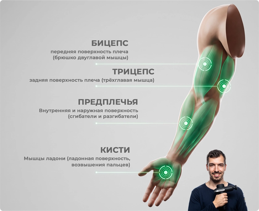 Анатомия рук для массажа перкуссером Анатомия рук для массажа перкуссером