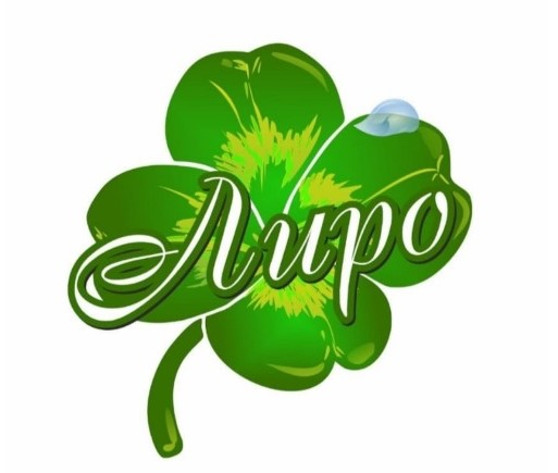 ИП Каримов Л.Р ЛИРО