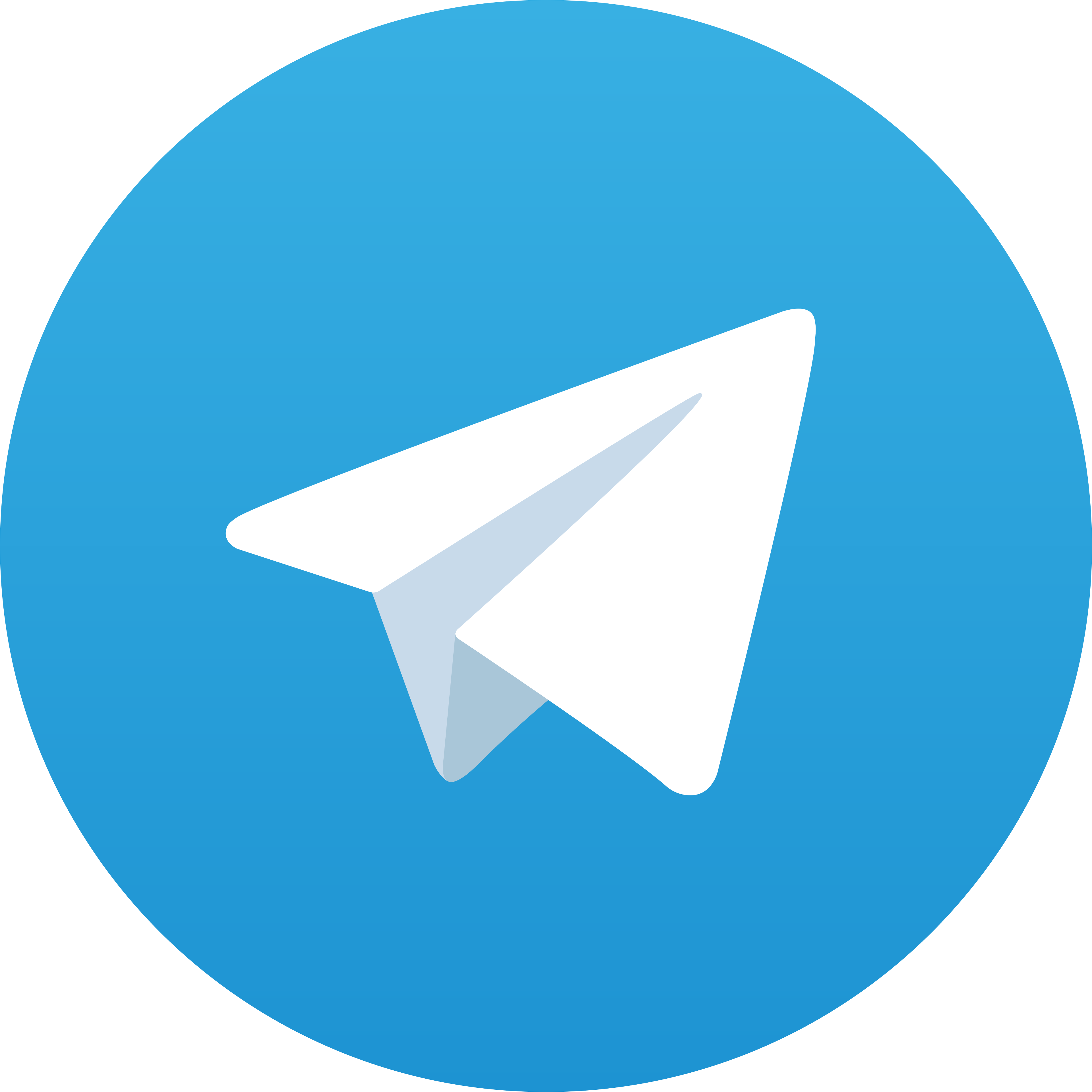 Telegram_logo.svg.webp