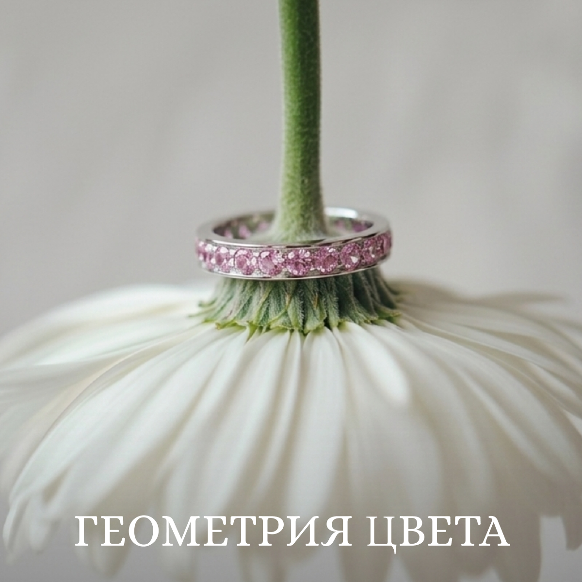Коллекция Геометрия