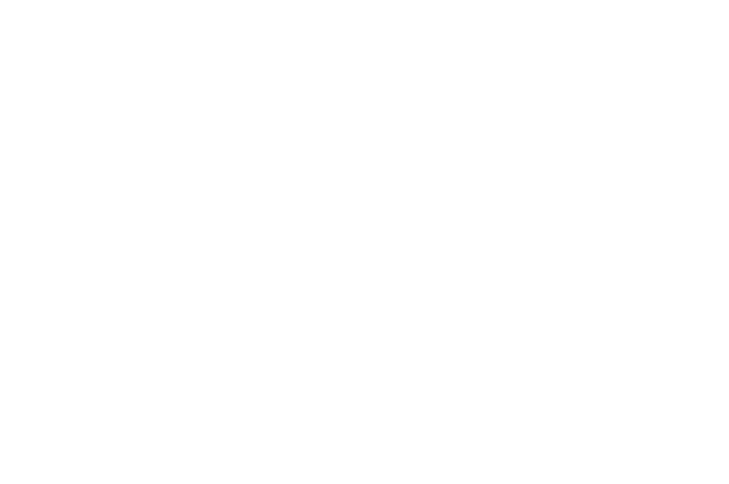 MMA Point