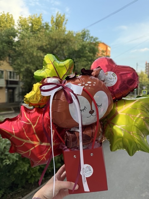 IMG_1019&nbsp;&mdash; средний размер.jpeg