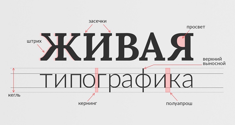 типографика