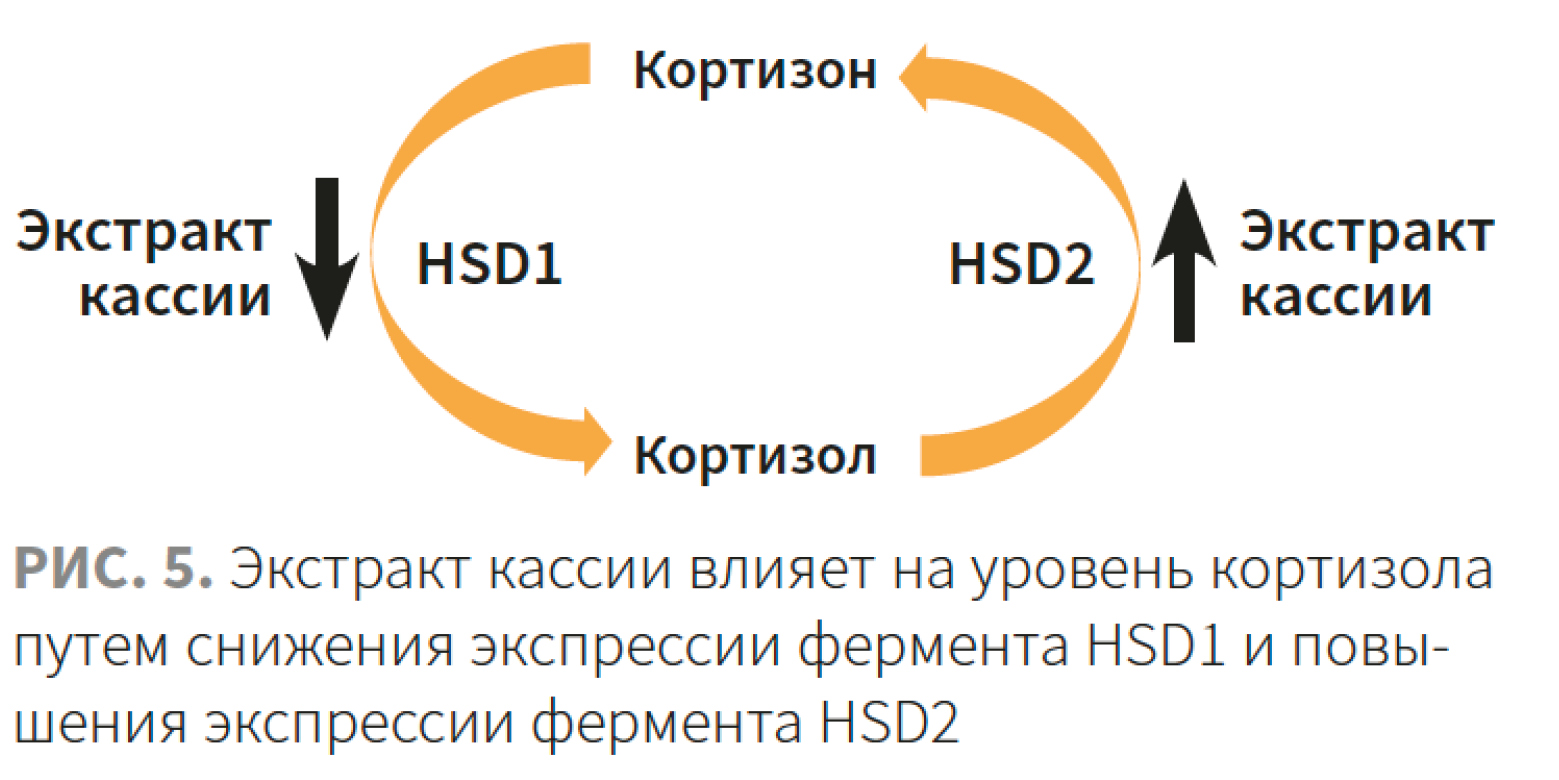 Наумчик КМ 1-2023_Рис 5.jpg