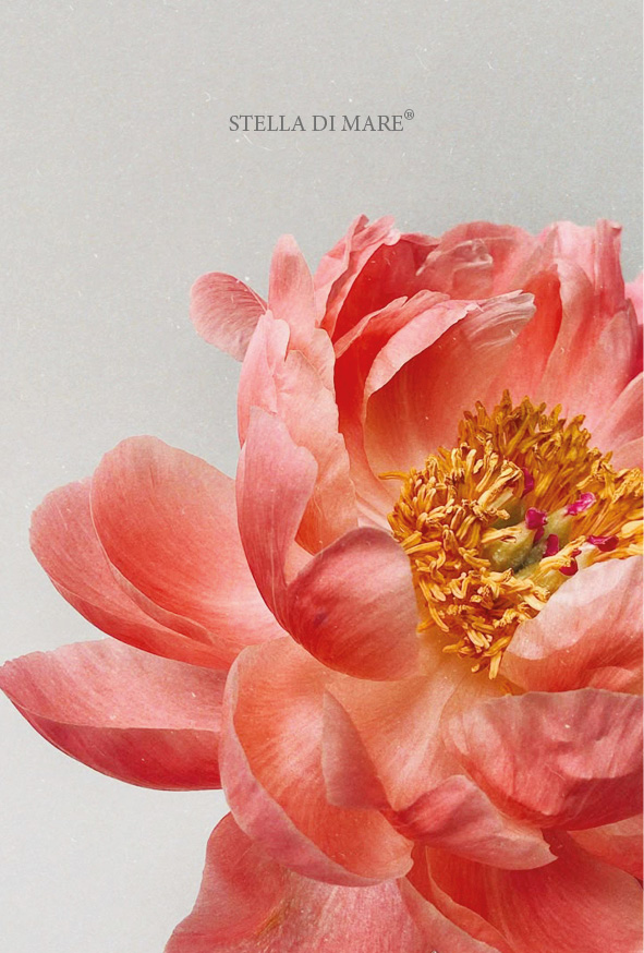 Flower #1