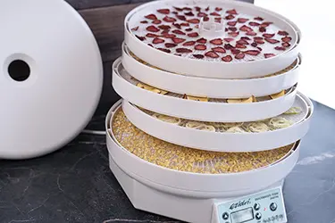 Сушка разных продуктов в Ezidri Snackmaker FD500 купить дегидратор цена