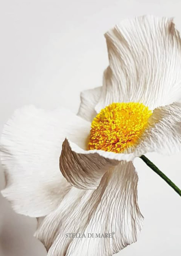 Flower #2