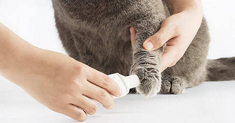 Триммер для когтей животных Xiaomi Pawbby Nail Sharpener MG-NG001