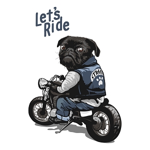 Принт с мопсом Lets ride