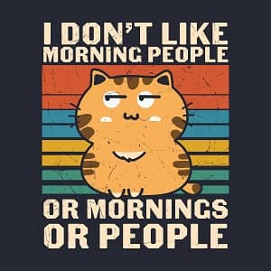 принт с котом I dont like morning people