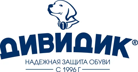 -ДИВИДИК -логотип-бренд.-..webp