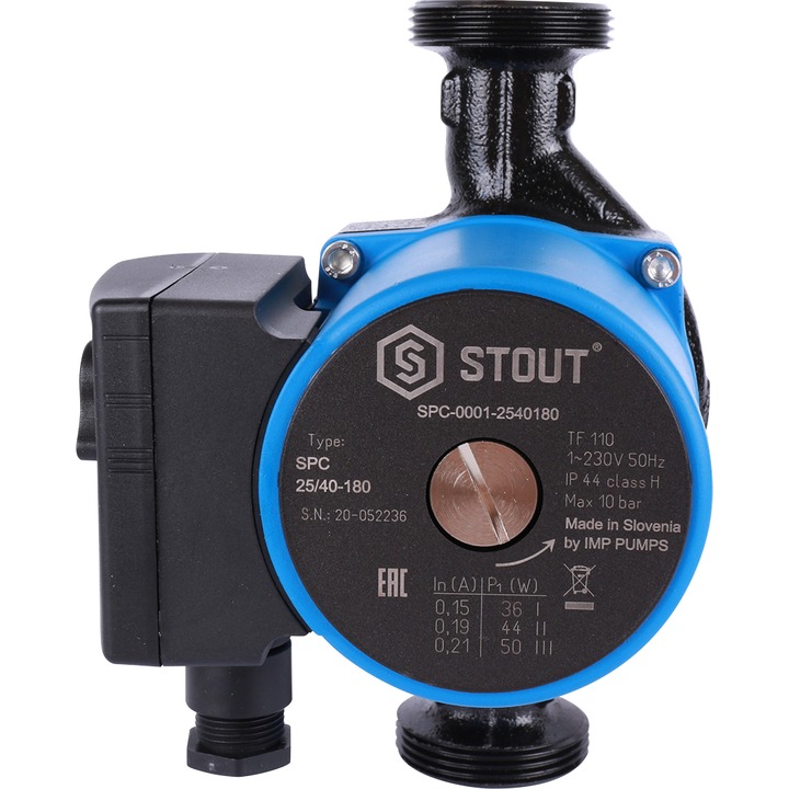 Stout