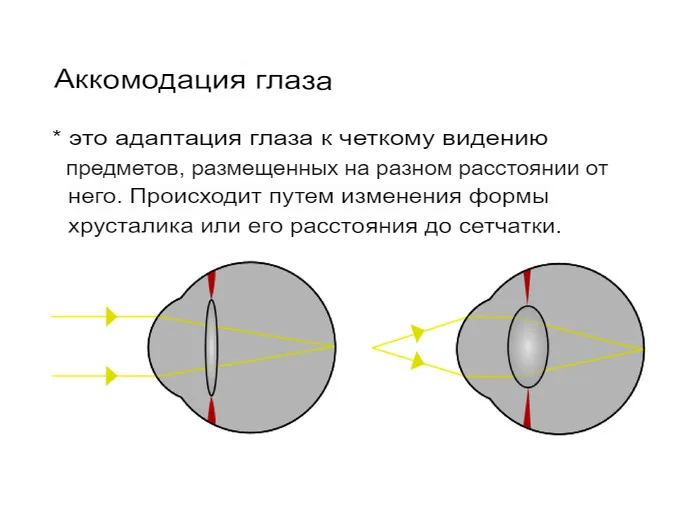 Аккомодация глаза