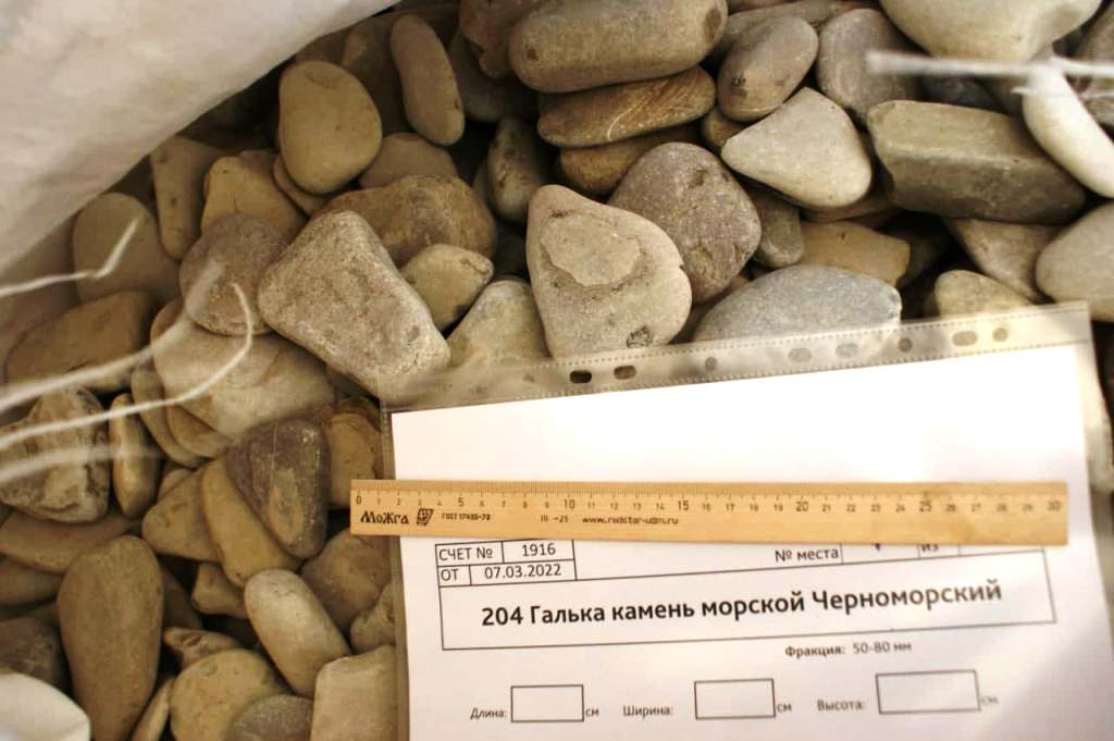 Плоский морской булыжник черноморский