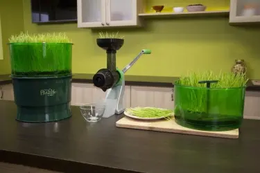 ручная шнековая соковыжималка